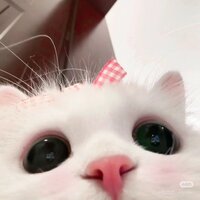 🇹🇼Mina🌸仙女妍妍兒🧚🏻♀️